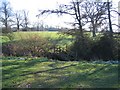 Footpath to Tattenhall