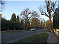 Broad Walk, N21, looking towards Winchmore Hill Green from Woodcroft