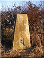 Triangulation pillar near Allesley