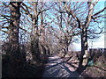 Bridleway off Fontridge Lane