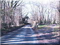 Lane to Hackwoods Farm