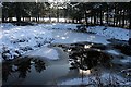 Frosty Pond