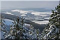 Rothes from Knockmore