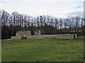 NU2003 : Brainshaugh Priory (ruins) by Les Hull