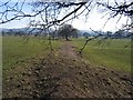 Footpath from Burwardsley Road to Dark Lane #2