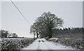 Hancocks Lane in the February Snow