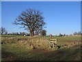 Footpath from Dark Lane to Burwardsley Road