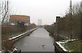 Restored section of the Sankey Canal