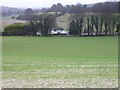 View across farmland