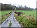 Looking W along Geddinge Lane