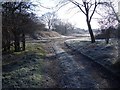 Footpath Junction SW of Harrold