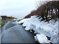 Snowy Road