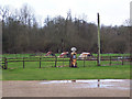 Petrol pump at Manor Farmhouse, Netton