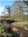 Wych Brook, near Wolvesacre Mill