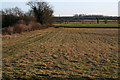 Farmland between Osbournby and Scott Willoughby