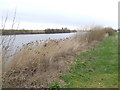 River Trent near Susworth