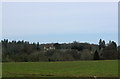 View towards Cowdray House