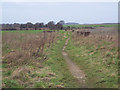 Bridleway from Hurdcott to Salterton