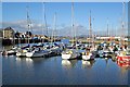 New Harbour Tayport