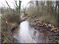 Cleared stream near Winterbourne Dauntsey