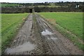 Farm Track to Gripps Farm