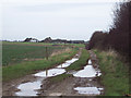 SU1635 : Track to Down Barn West by Maigheach-gheal