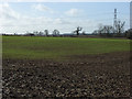 SP7231 : Farmland, Padbury by Andrew Smith