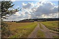 Track to Sandfield Farm