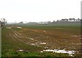 NT8853 : Wet fields, Broomdykes by Richard Webb