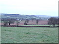 Pastoral view south of Raglan