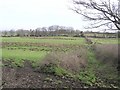 Lisnamarrow Townland