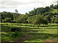 Erme Valley near Thornham