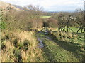 Track towards Haughhead