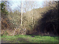 Footpath to Teffont from Fovant