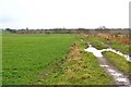 Farm track, Bellshiel