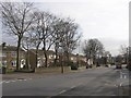 Trees, Crosland Road, Lindley cum Quarmby (near Huddersfield)