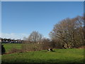 SJ4189 : Childwall Playing Fields from the Trans Pennine Trail by Sue Adair