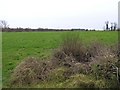 Doss Tree Townland