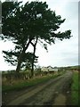 Looking west to East Heads farm