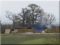 Outbuildings, Holton Wood