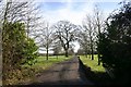 Track to Whitehouse Farm