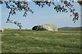 Huge boulder near Bryn y Ffynon, Bethel.