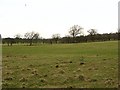 Farmland, Gowanhill