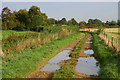 Alvescot trackway near old railway line.