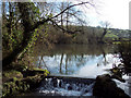 Pond near West Farm, Fovant