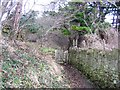 Footpath in Haulfre Estate