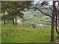 Buxworth from Eccles Pike