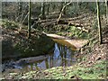 Prenton Brook in Barnston Dale