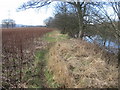 Clyde Walkway near Newton