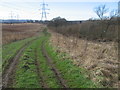 Clyde Walkway approaching the disused Carmyle viaduct